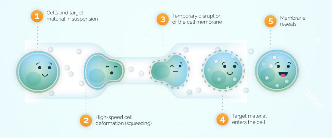 1533797332177579.jpg 1533797348(1).jpg