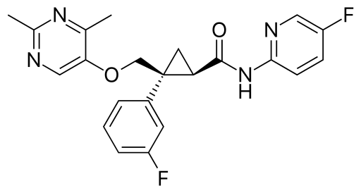 1539931317(1).jpg