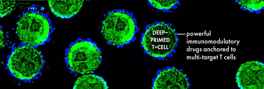 1551074622316167.jpg 1551065404(1).jpg