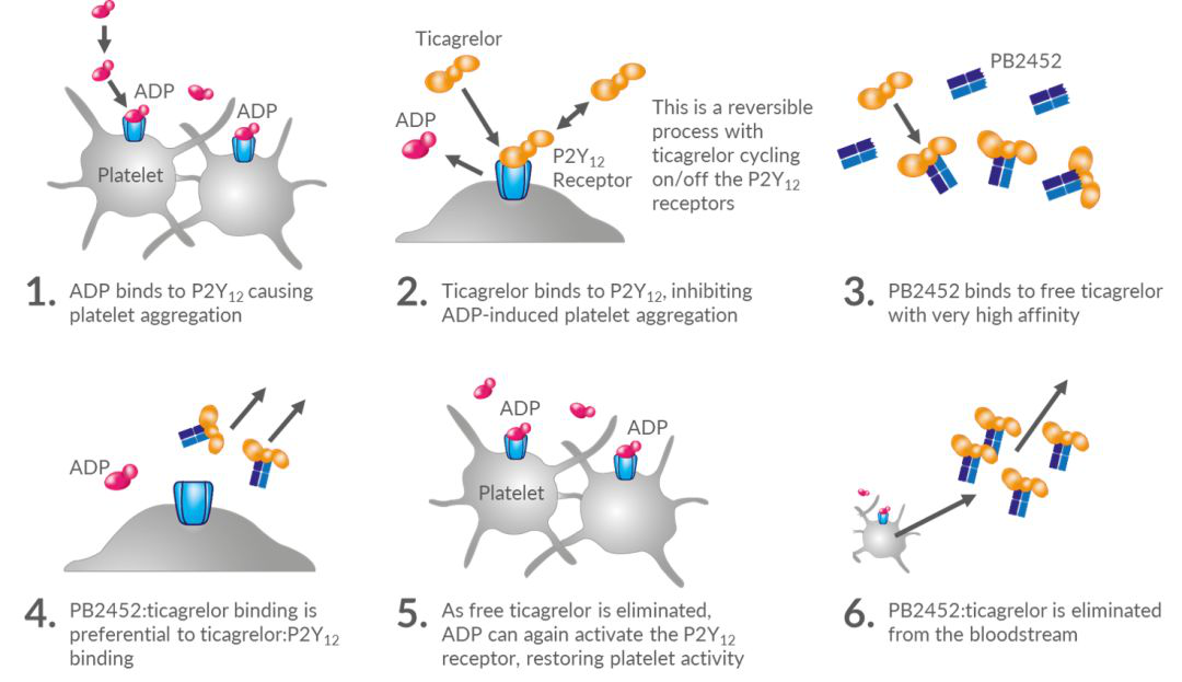 1554789781436011.jpg 1554790322(1).jpg