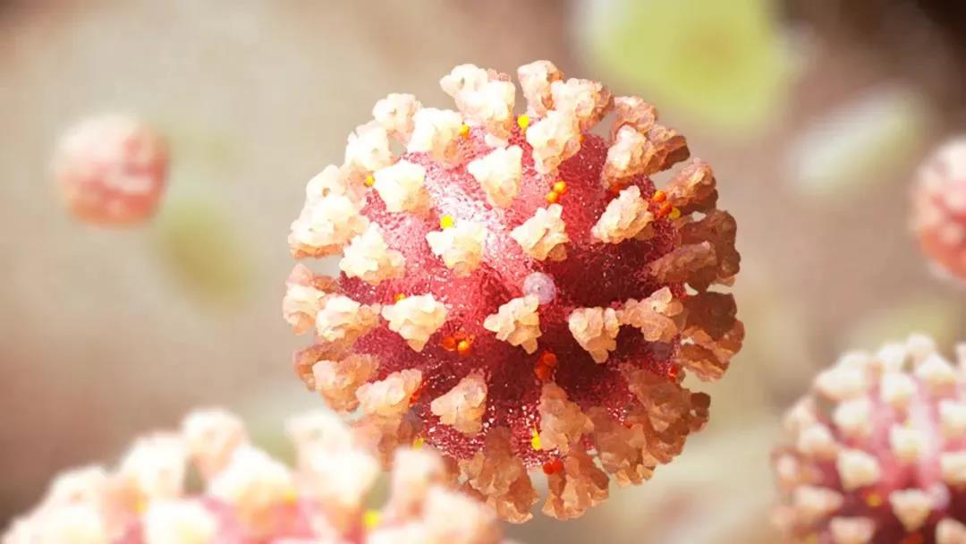 1634798490122918.jpg 微信圖片_20211021144059.jpg