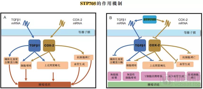 微信圖片_20211230134828.jpg