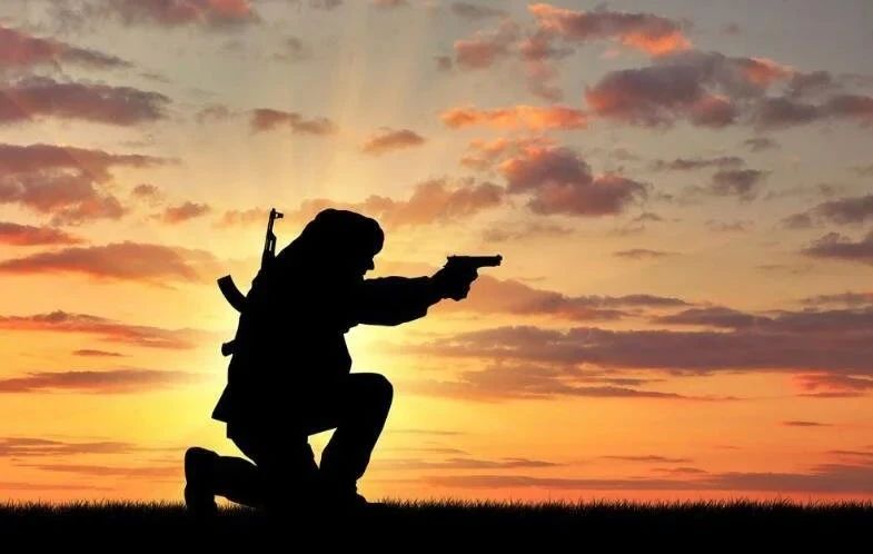 1680146422481130.jpg 1680145473505.jpg