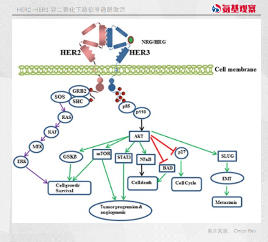 1681192726214325.png 微信圖片_20230411135828.png