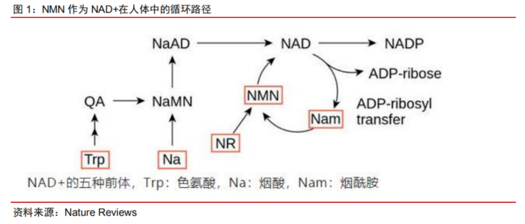 微信圖片_20230515162622.png