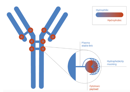 1698115769554091.png 640 (92).png