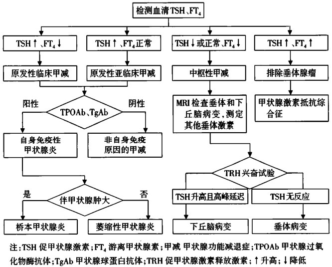 1699261002222514.png 640 - 2023-11-06T165626.960.png