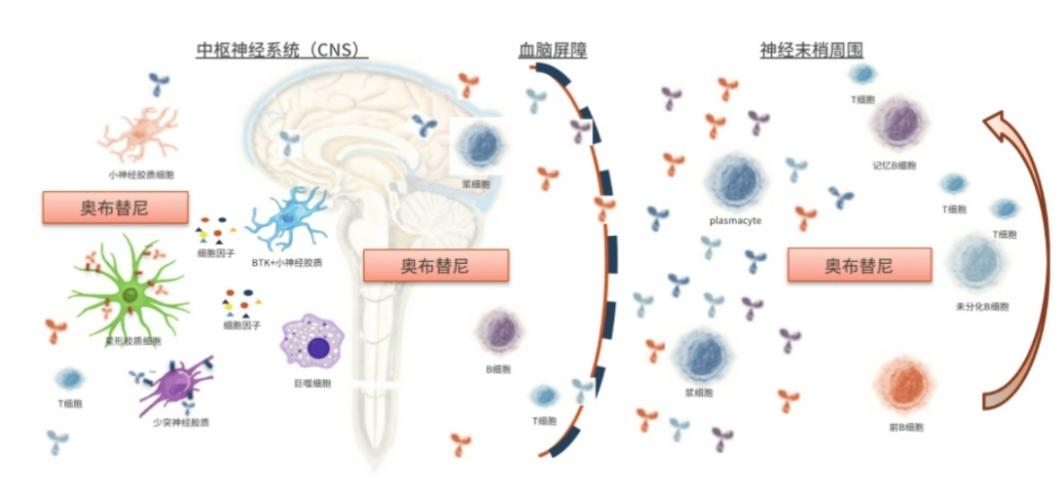 1700457167246359.png 640 - 2023-11-20T131220.425.png