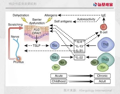 1704173709311774.jpg 640 - 2024-01-02T133453.116.jpg