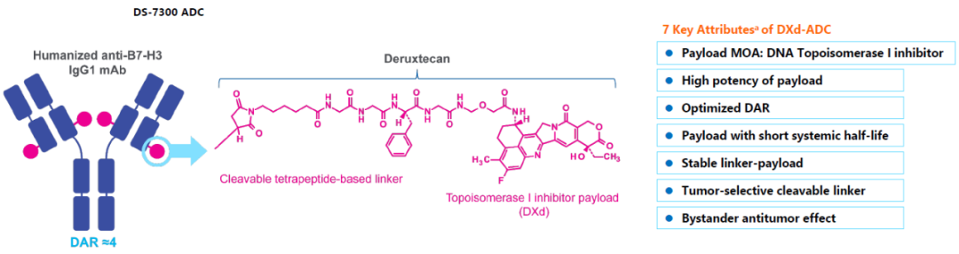 1704789318819009.png 640 - 2024-01-09T163502.723.png