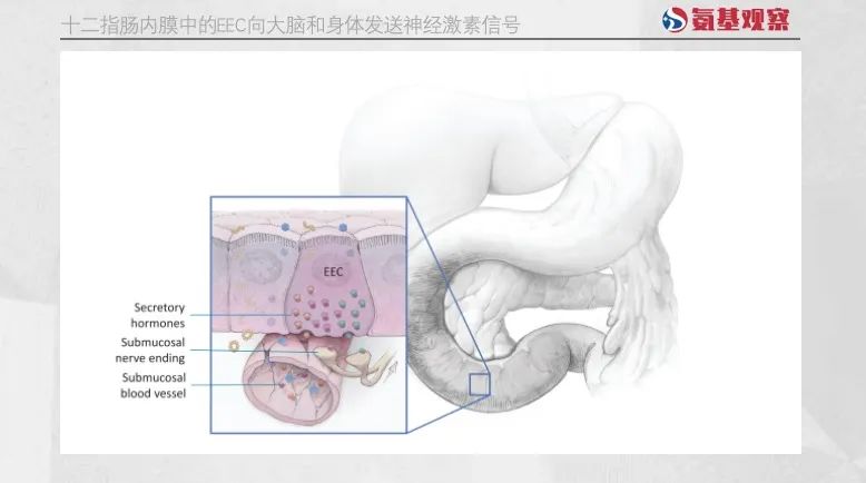 1707025590892013.jpg 640 - 2024-02-04T134610.248.jpg